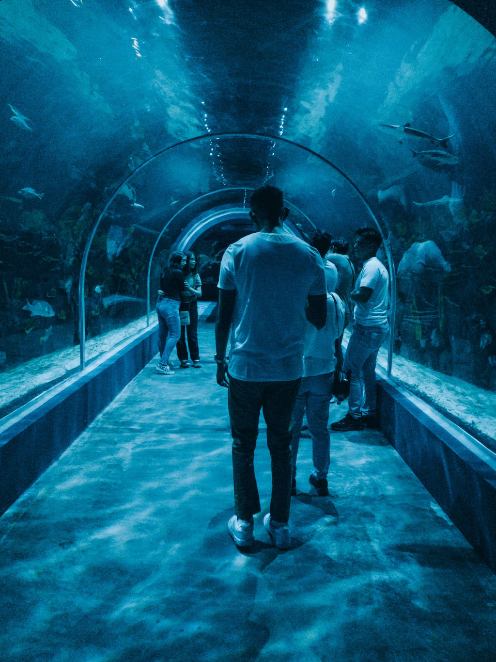 Visitantes en el túnel del acuario