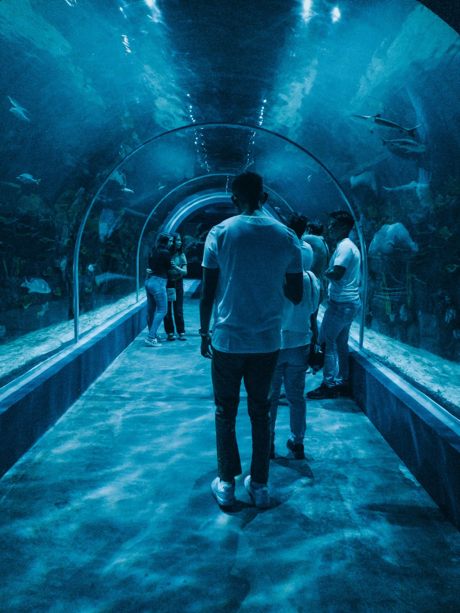 Visitantes en el túnel del acuario