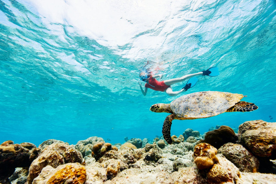 Snorkel Experience - Parque de corales