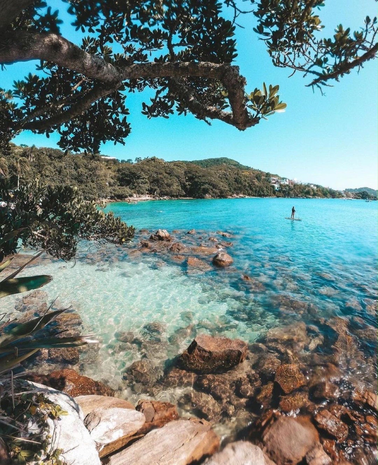 Bombinhas full day desde Florianópolis — Vive Brasil