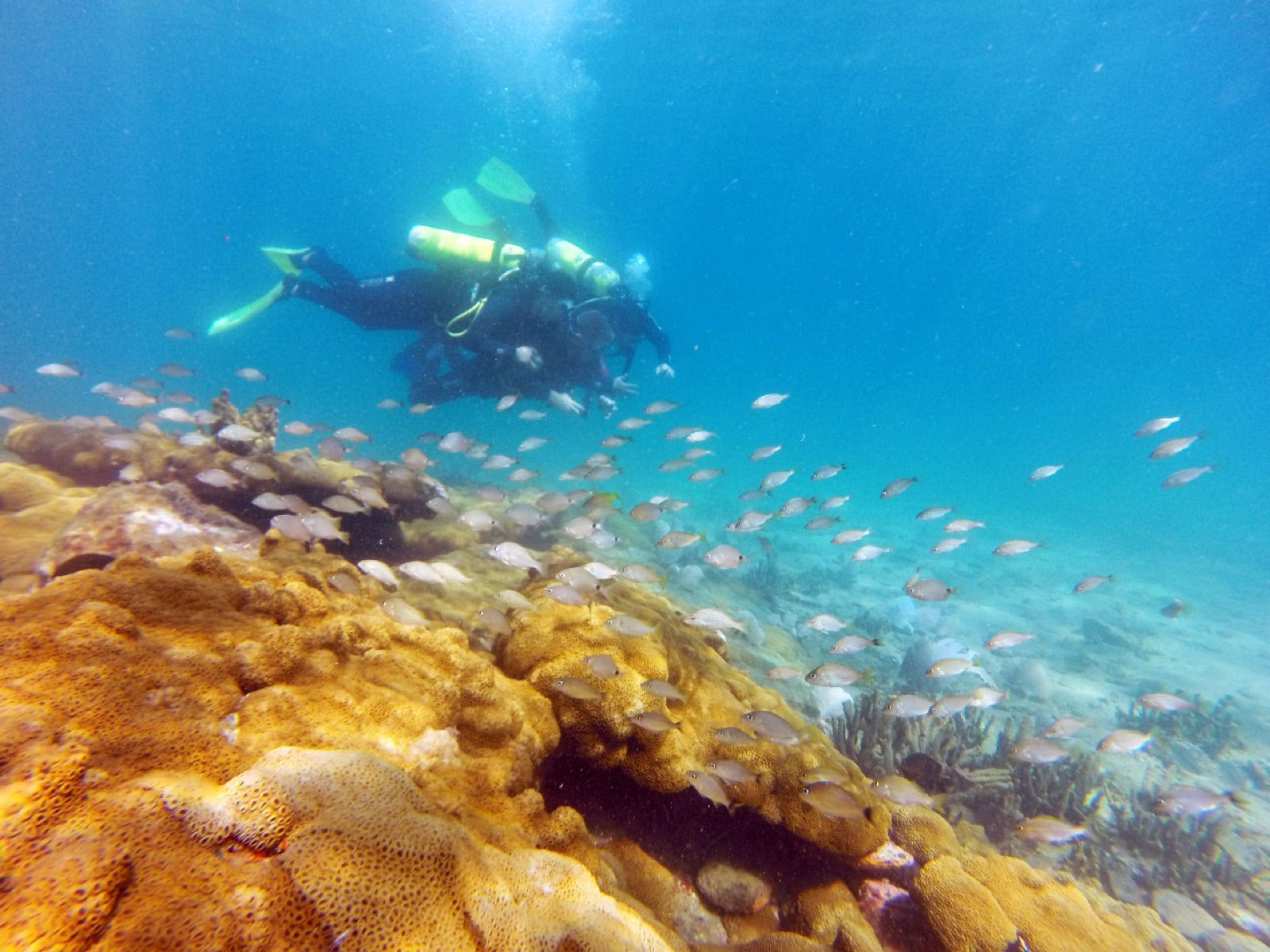 Buceo con cilindro en Búzios — Vive Brasil
