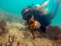 Buceo con cilindro en Búzios — Vive Brasil