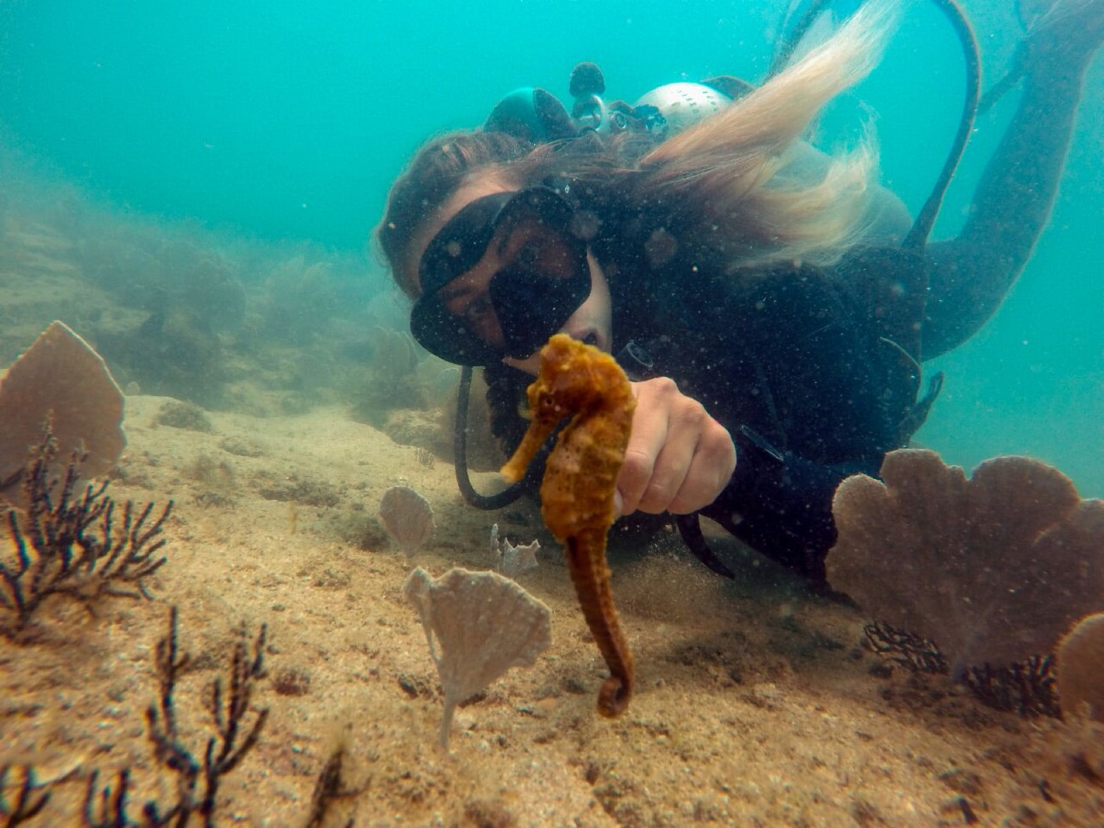 Buceo con cilindro en Búzios — Vive Brasil