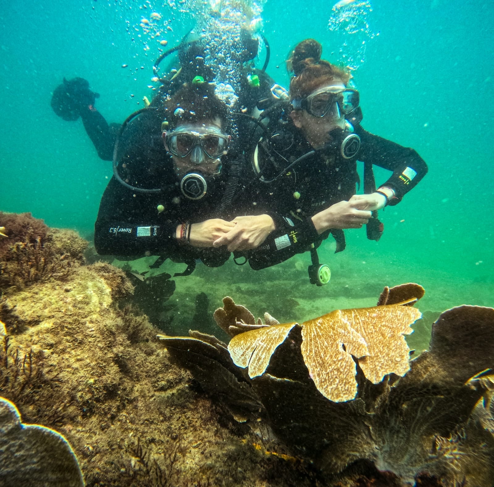 Buceo con cilindro y almuerzo — Vive Brasil