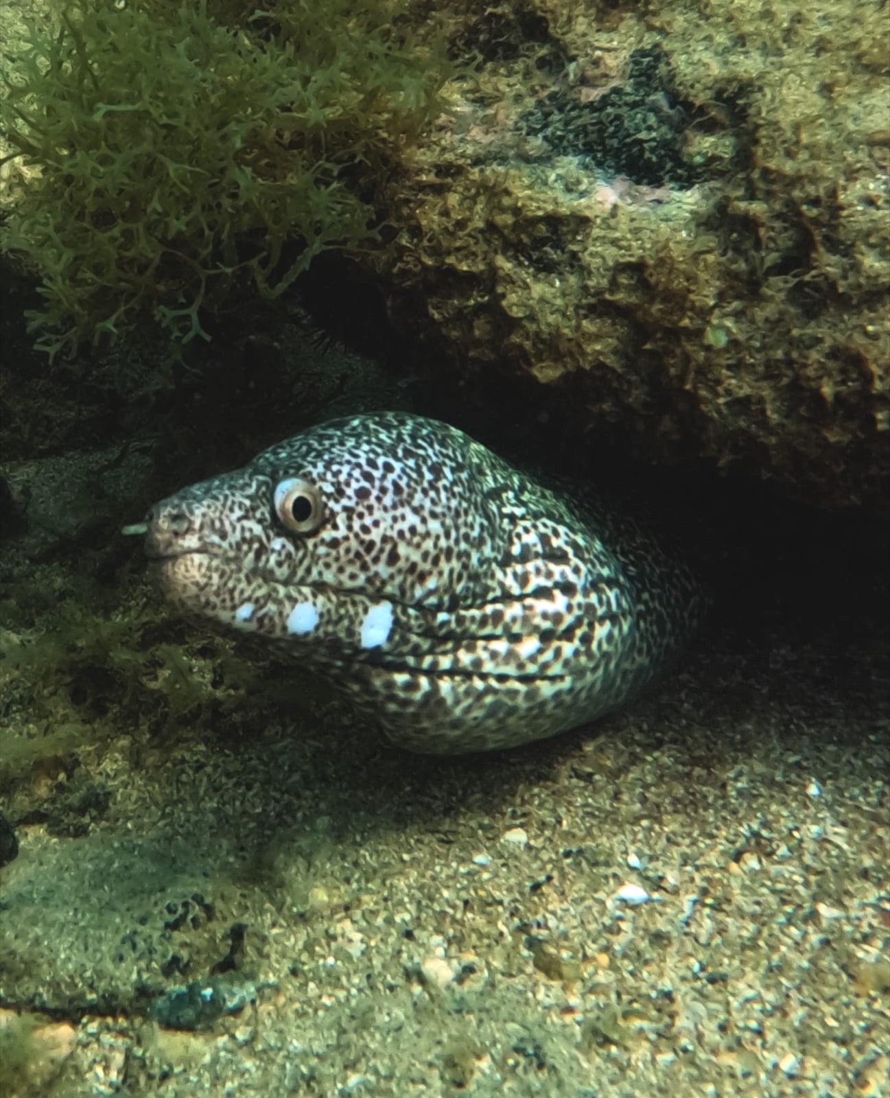 Buceo con cilindro y almuerzo — Vive Brasil