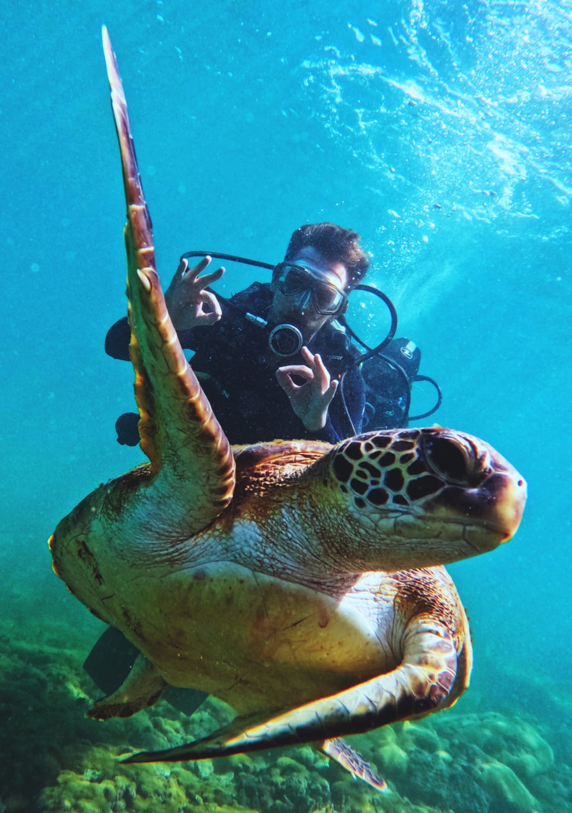 Buceo con cilindro y almuerzo — Vive Brasil