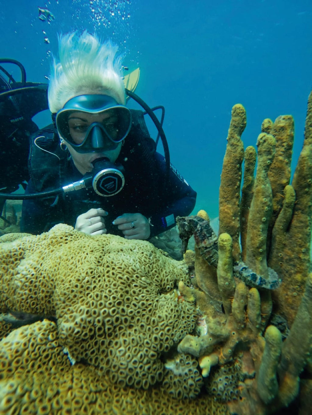 Buceo con cilindro y almuerzo — Vive Brasil