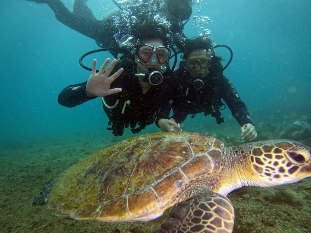 Buceo con cilindro y almuerzo — Vive Brasil