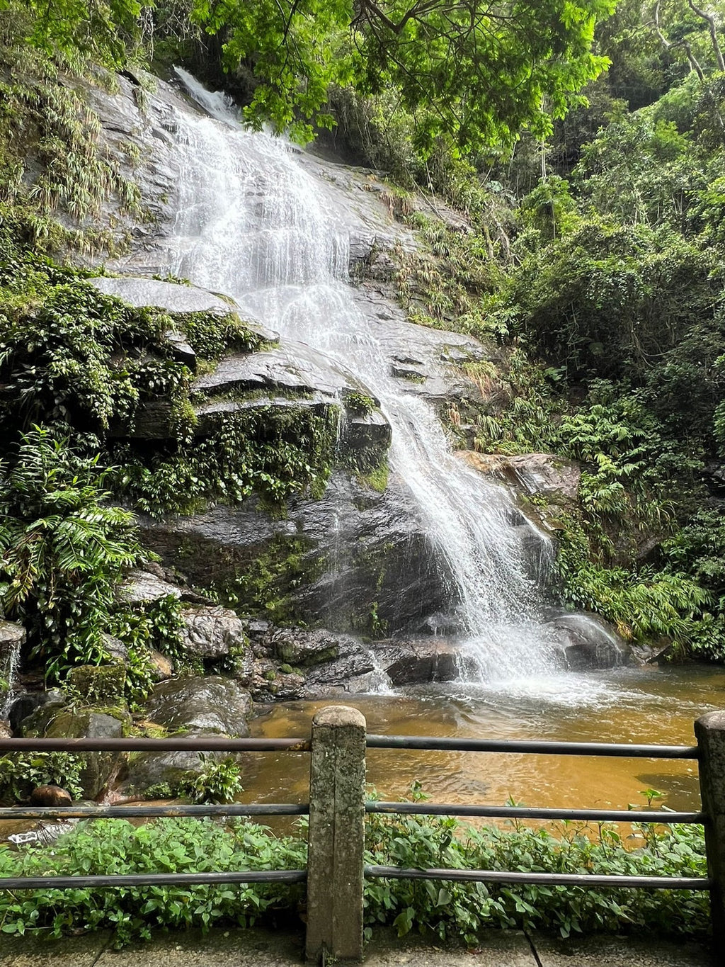 Floresta da Tijuca en jeep o van — Vive Brasil