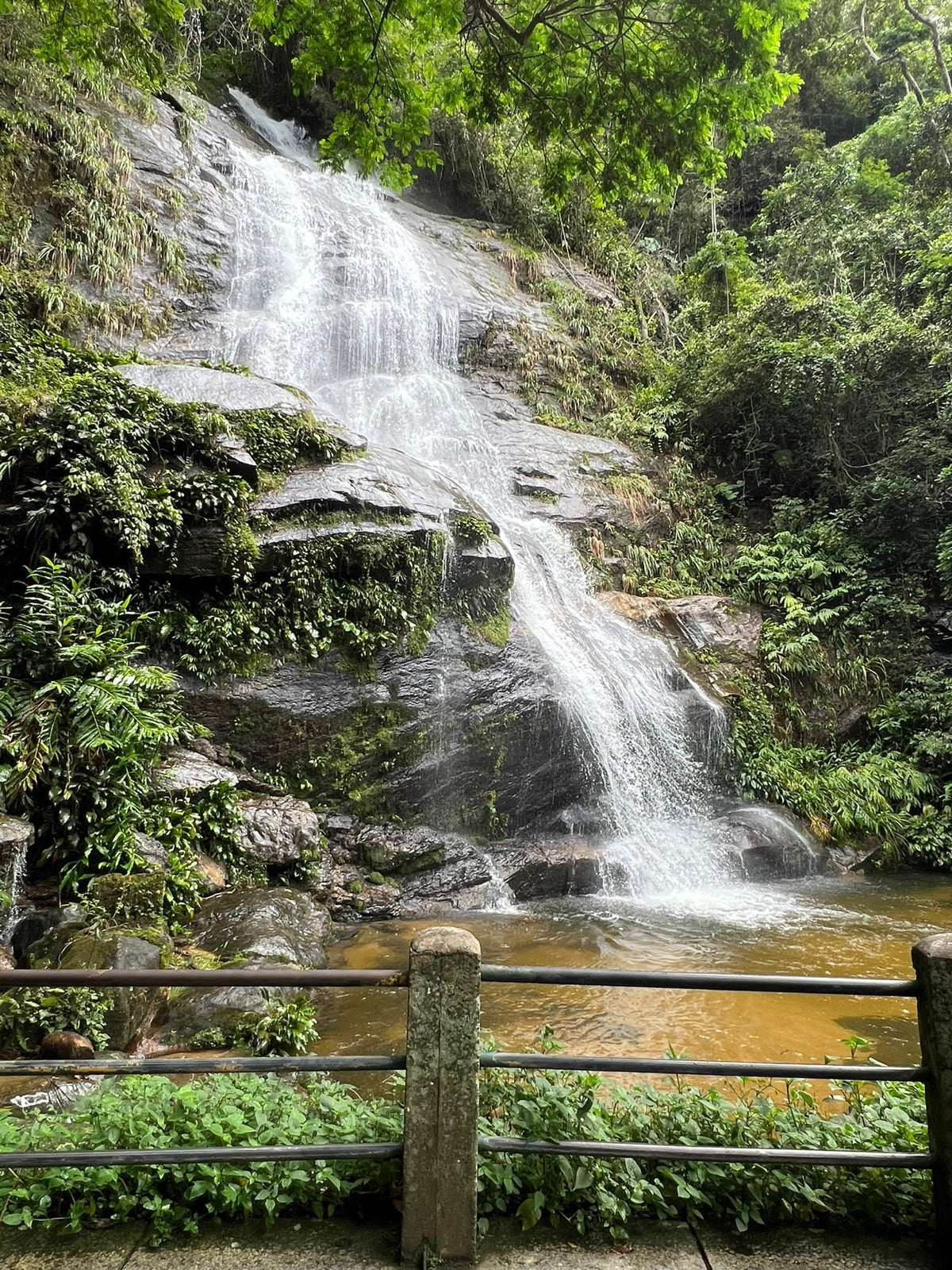 Floresta da Tijuca en jeep o van — Vive Brasil