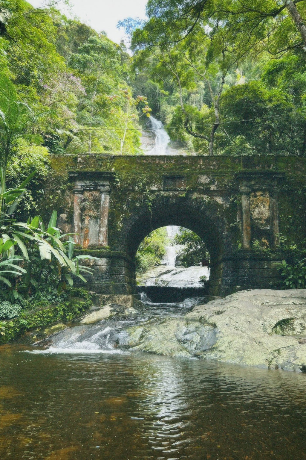 Floresta da Tijuca en jeep o van — Vive Brasil