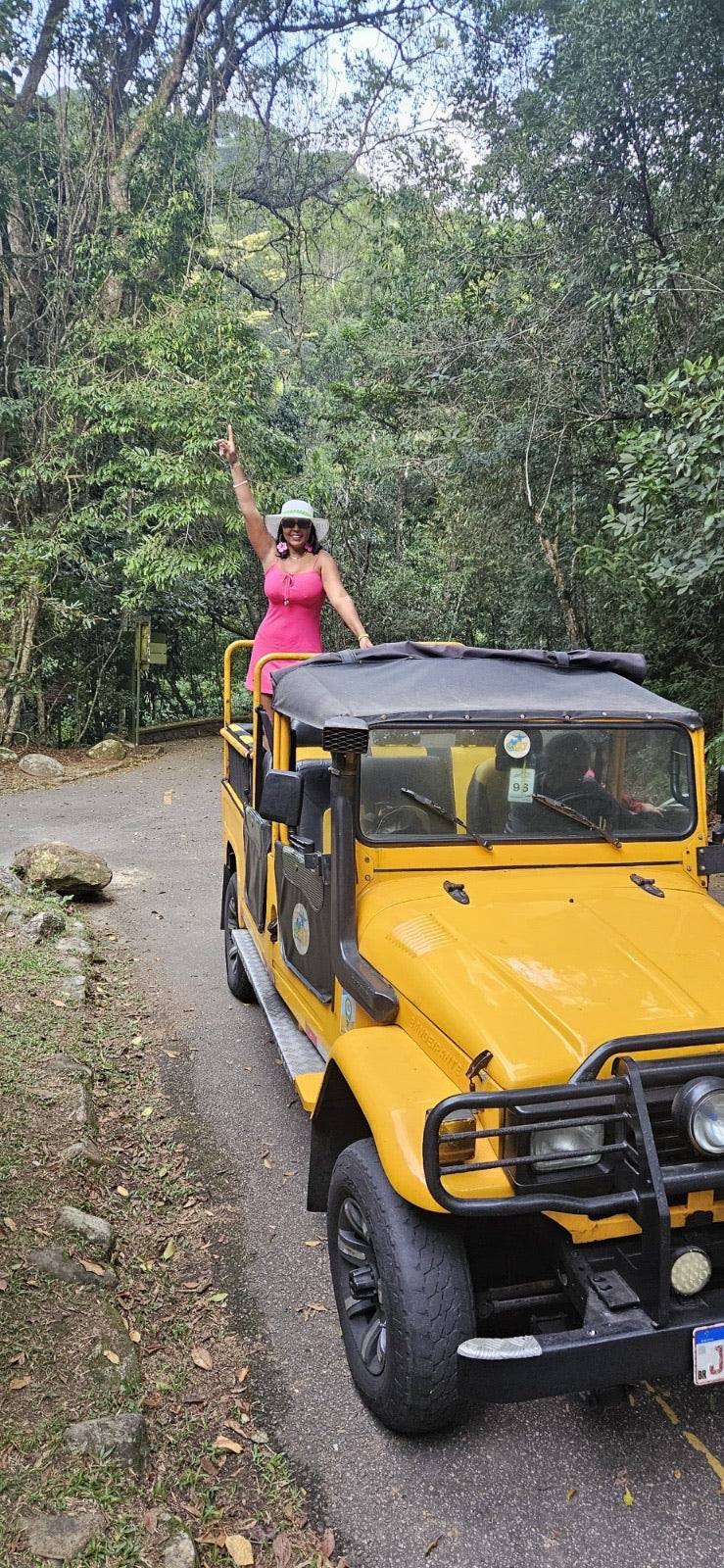 Floresta da Tijuca en jeep o van — Vive Brasil