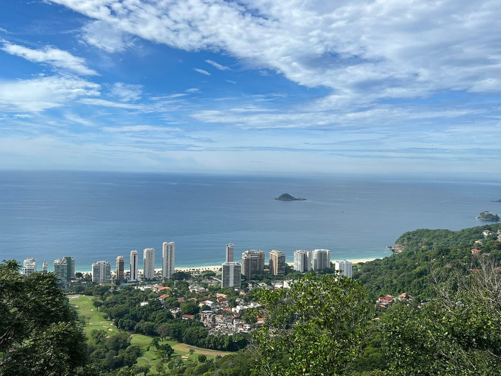 Floresta da Tijuca en jeep o van — Vive Brasil