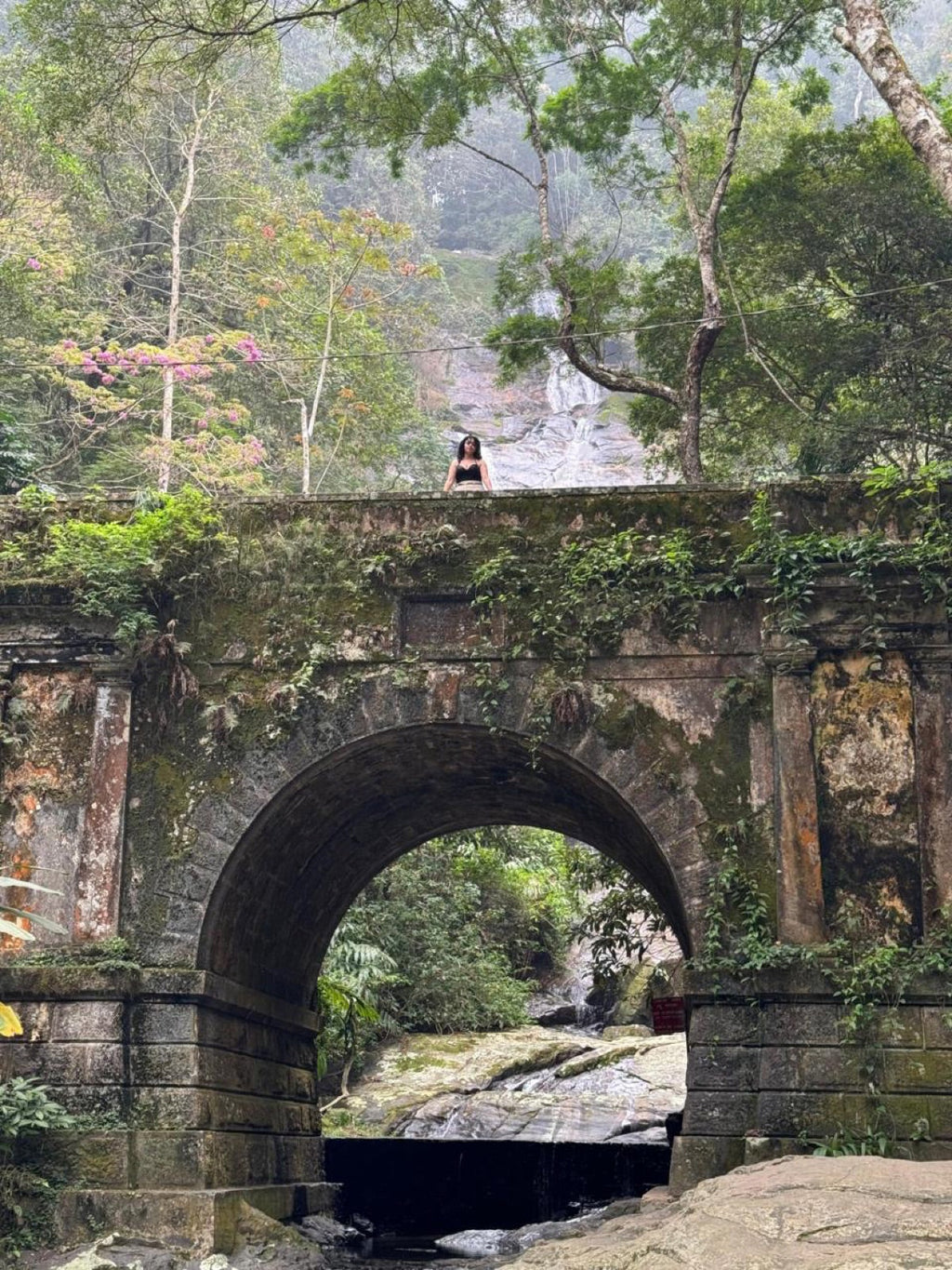 Floresta da Tijuca en jeep o van — Vive Brasil