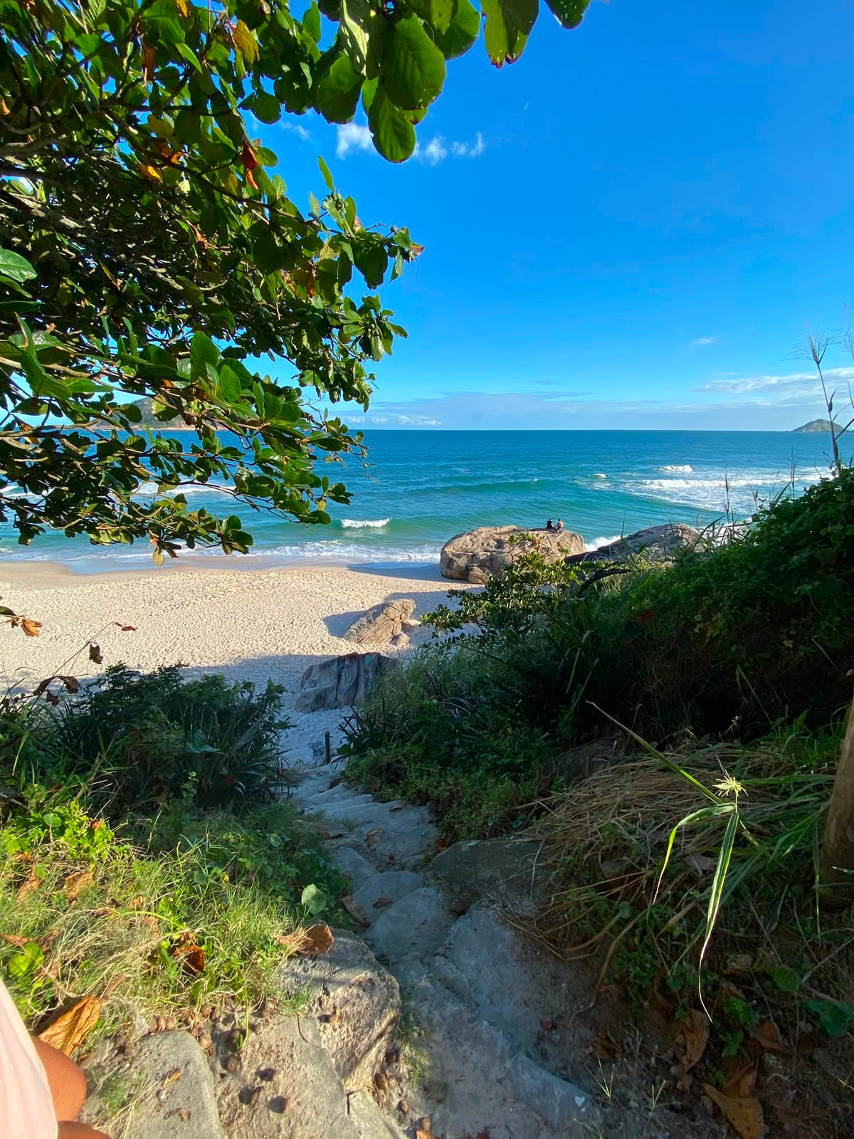 Pack Río Esencial — Vive Brasil